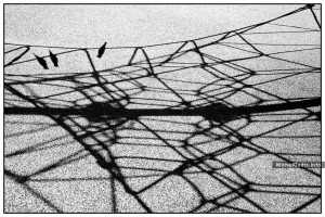 Climbing Net Shadow :: Black and white abstract realism photography - Artwork © Michel Godts