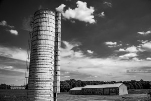 Farm Silo Landscape :: Black and white rural architecture photography - Artwork © Michel Godts