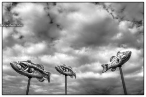 Fish In The Sky :: Black and white photograph of public art - Artwork © Michel Godts