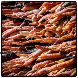 Stacked Heirloom Carrots :: Fine art photography - Artwork © Michel Godts