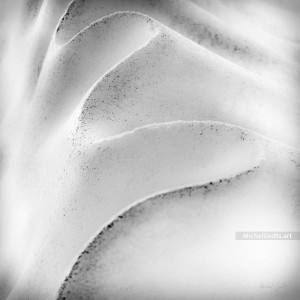 Limestone Dune :: Black and white abstract photograph - Artwork © Michel Godts