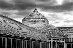 Phipps Conservatory :: Black and white architecture photography - Artwork © Michel Godts