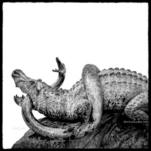 Weathered Bronze—The Crocodile And The Serpent #2 :: Black and white photograph of public art - Artwork © Michel Godts