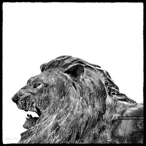 Weathered Bronze—The Lion :: Black and white photograph of public art - Artwork © Michel Godts