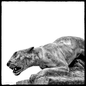 Weathered Bronze—The Panther :: Black and white photograph of public art - Artwork © Michel Godts