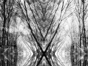Woodland Arising :: Abstract art from manipulated photography - Artwork © Michel Godts