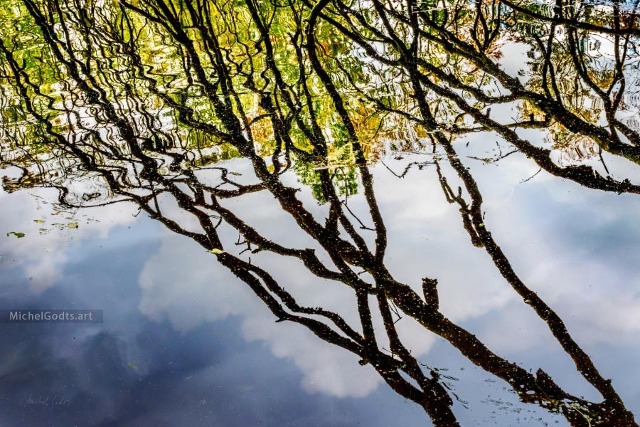 Autumnal Pond Reflection :: Landscape fine art photography - Artwork © Michel Godts