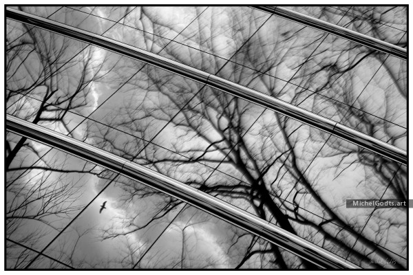 Blustery Day Reflection :: Black and white urban photography - Artwork © Michel Godts