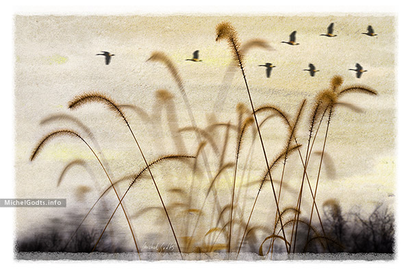 Fall Impression At Bellevue :: Landscape photo illustration - Artwork © Michel Godts