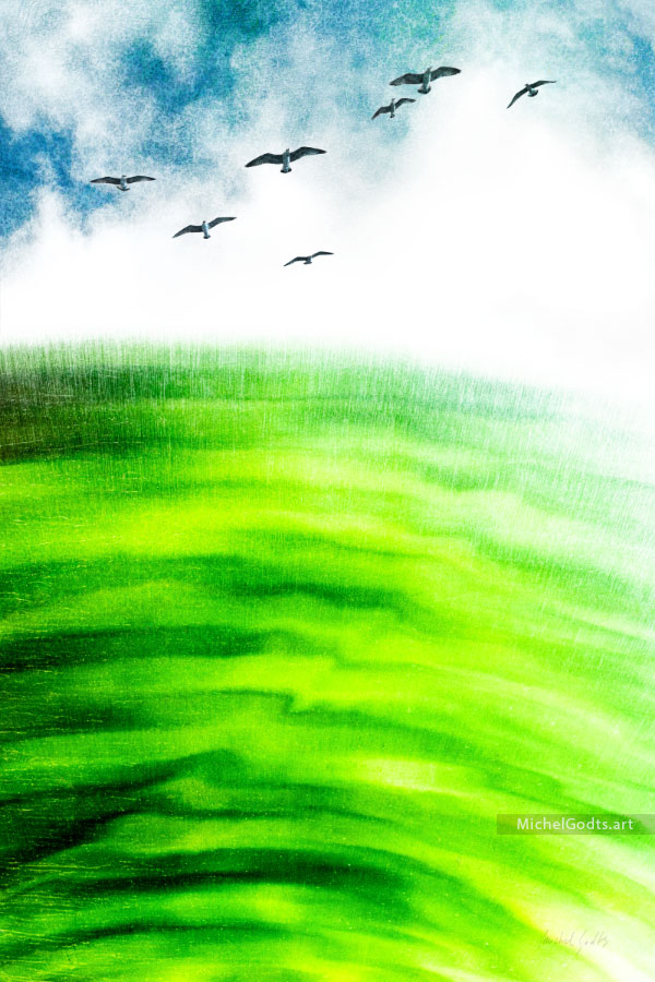 Flight Over Green Pond :: Photo illustration print - Artwork © Michel Godts