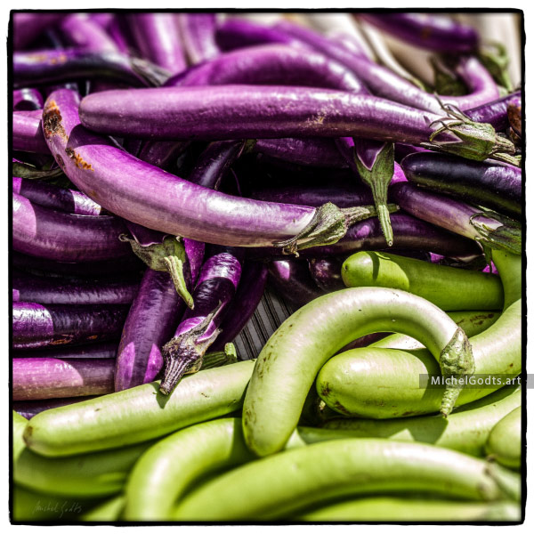 Heirloom Long Eggplants :: Fine art photography - Artwork © Michel Godts