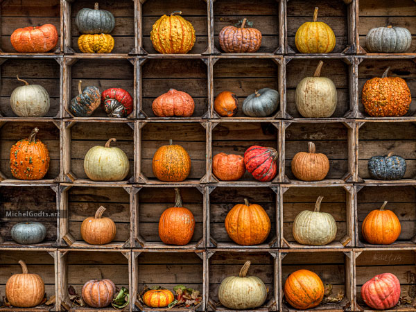 Heirloom Pumpkin Collection :: Fine art photography print - Artwork © Michel Godts