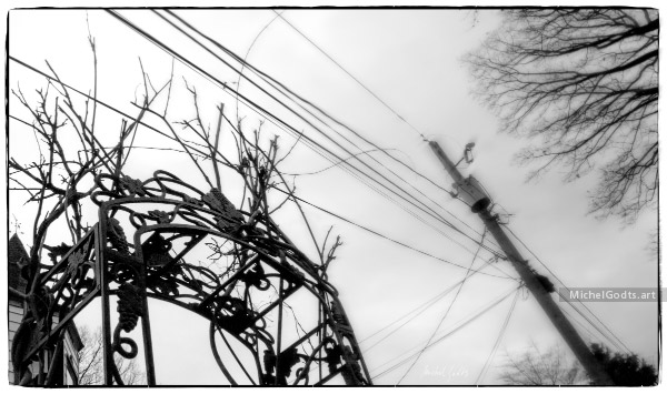 Let The Lines Go Free :: Black and white rural photography - Artwork © Michel Godts