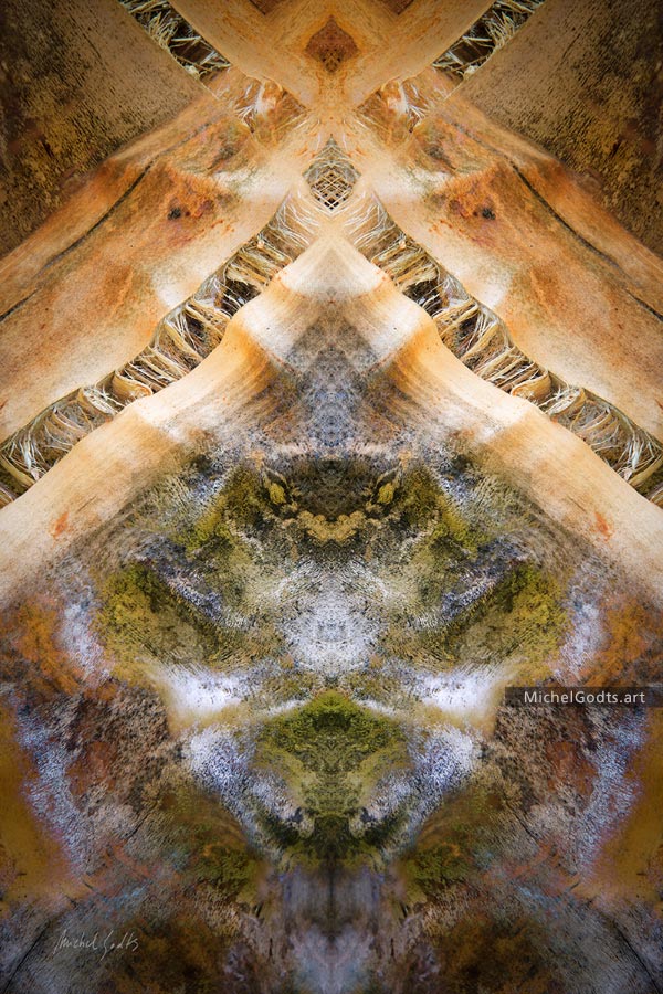 The Mystique Gardens :: Abstract art from manipulated photography - Artwork © Michel Godts