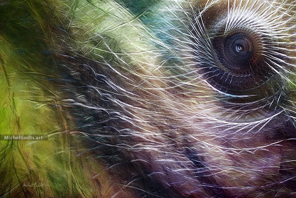 Netherworld Eye :: Abstract digital art from manipulated photography - Artwork © Michel Godts
