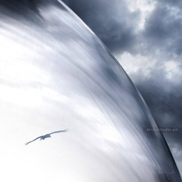 Oiseau Parabole :: Photo illustration - Artwork © Michel Godts