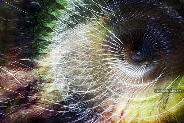 Primeval Gaze :: Abstract digital art from manipulated photography - Artwork © Michel Godts