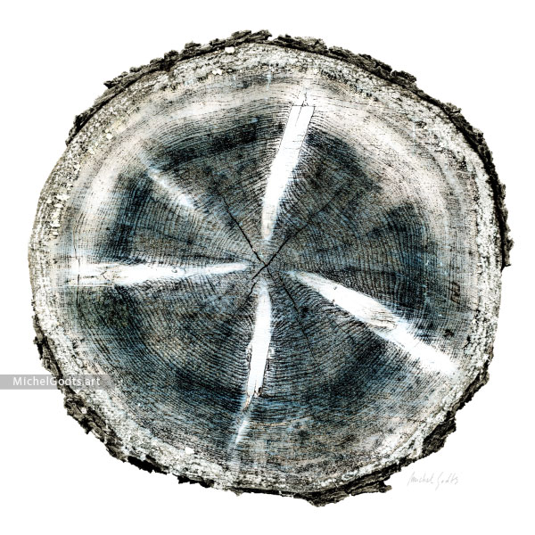Radial Expression :: Rustic fine art photography print - Artwork © Michel Godts