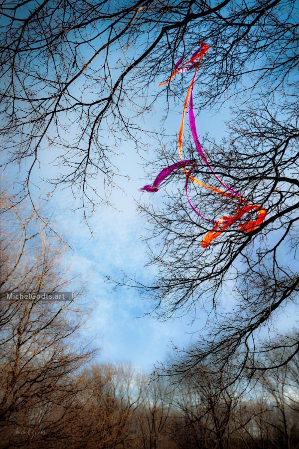 Ribbons In Bare Trees :: Landscape fine art photography - Artwork © Michel Godts