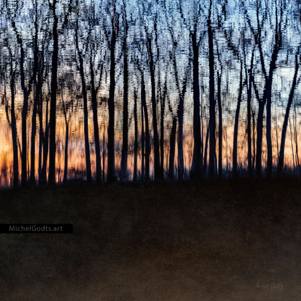 Rippled Forest At Sunset :: Landscape fine art photography - Artwork © Michel Godts
