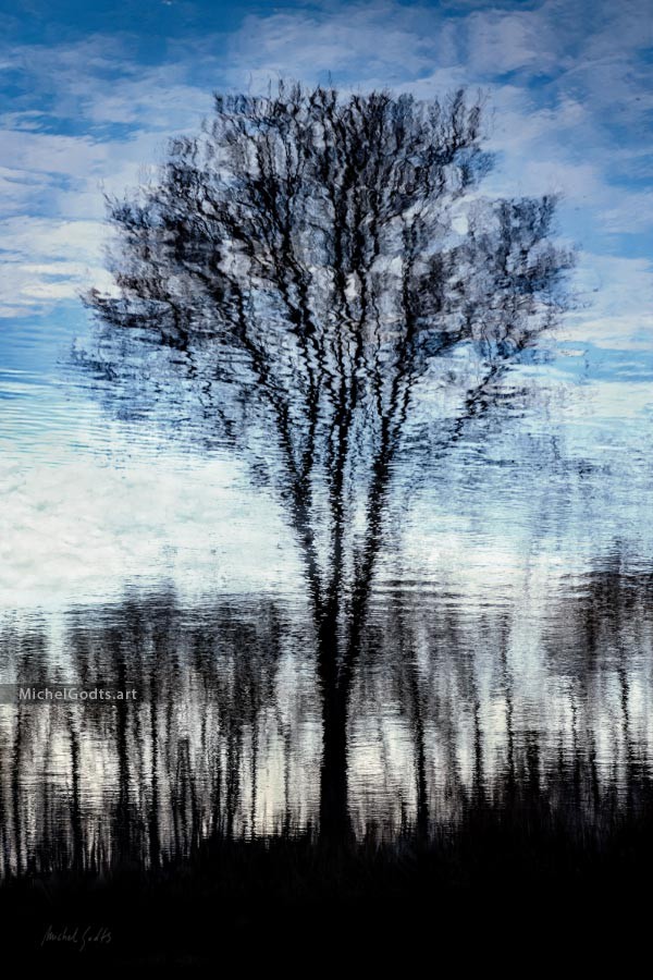 Rippled Tree Landscape :: Fine art photography - Artwork © Michel Godts