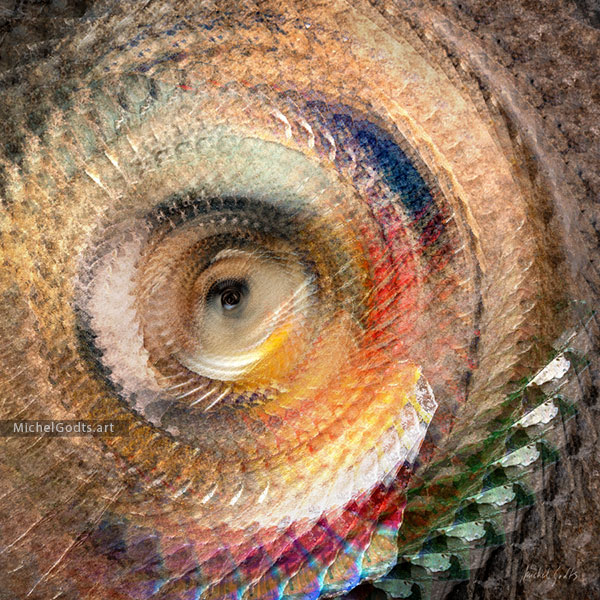 Spiritual Vision :: Abstract digital art from manipulated photography - Artwork © Michel Godts