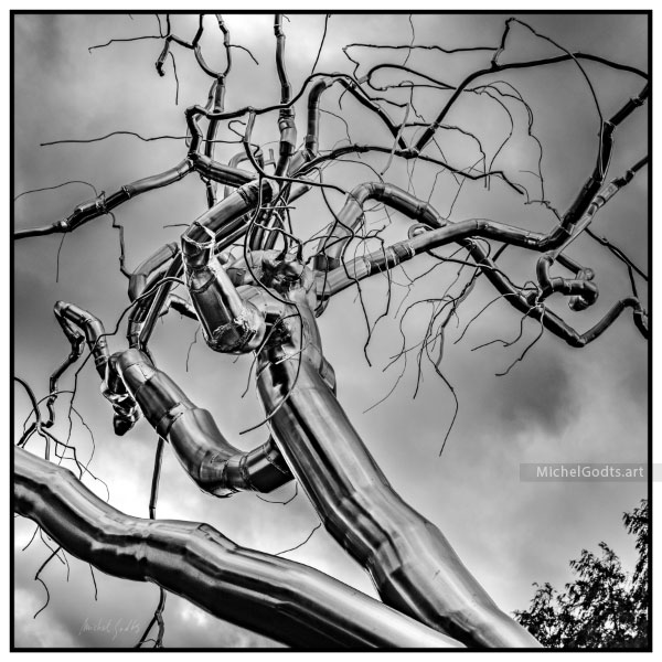 The Metallic Tree :: Black and white photograph of public art - Artwork © Michel Godts